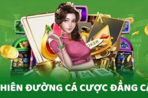 Giới thiệu KJC chi tiết – Tầm nhìn, sứ mệnh và những giá trị cốt lõi tạo nên thành công