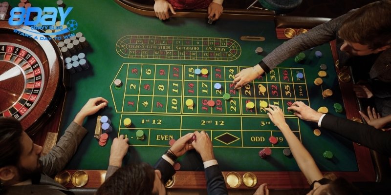 Chính sách hoàn thưởng giá trị cao cho thành viên 8day