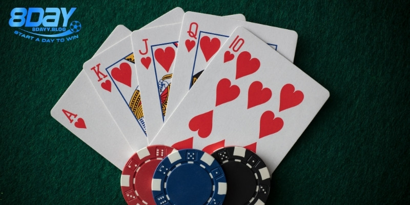 Hệ thống hợp tác đại lý chính thống được 8day triển khai