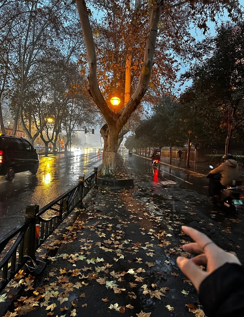 ảnh đường phố buồn 2