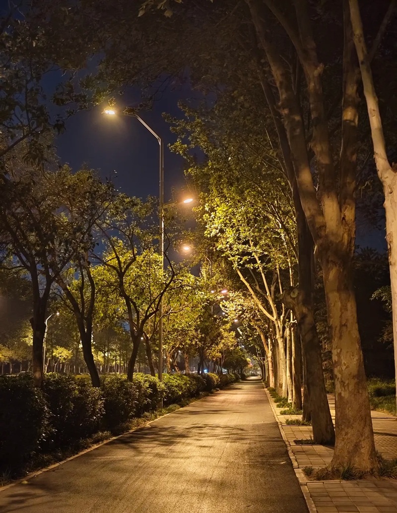 ảnh đường phố buồn 36