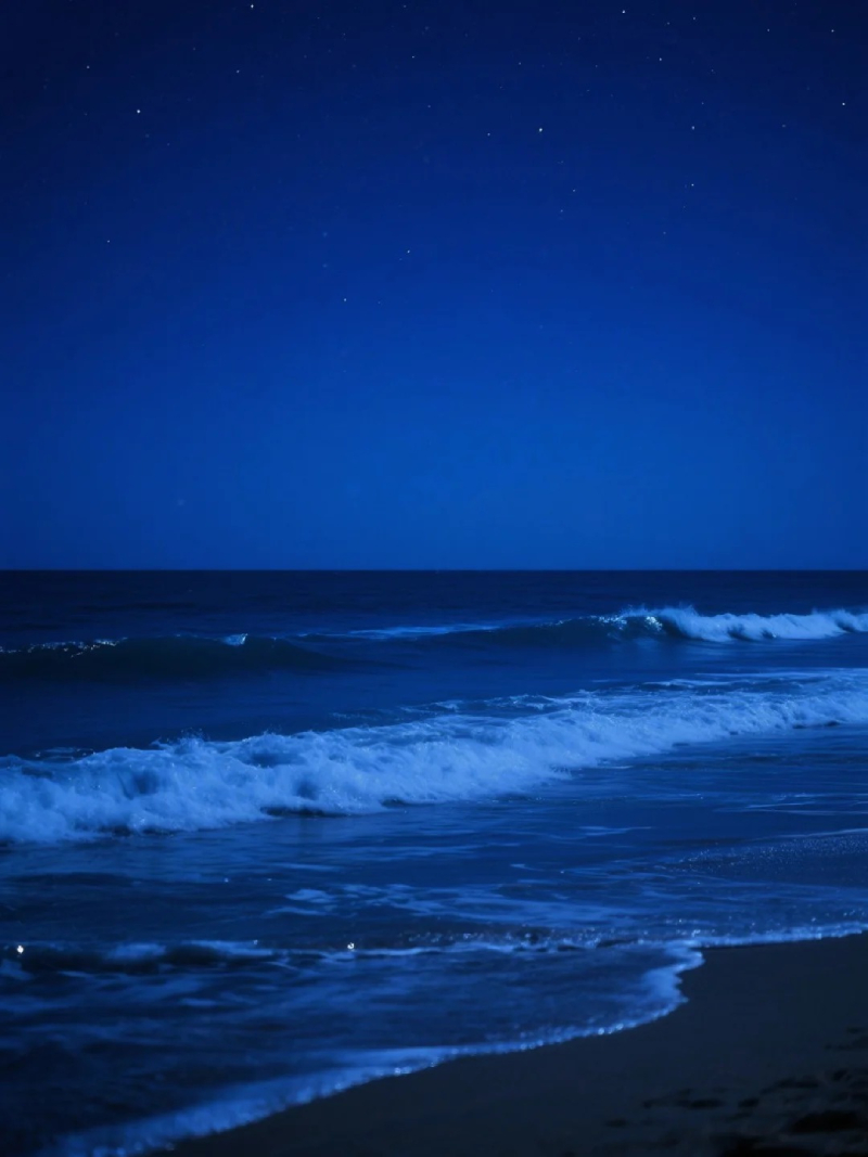 ảnh sóng biển chill 11