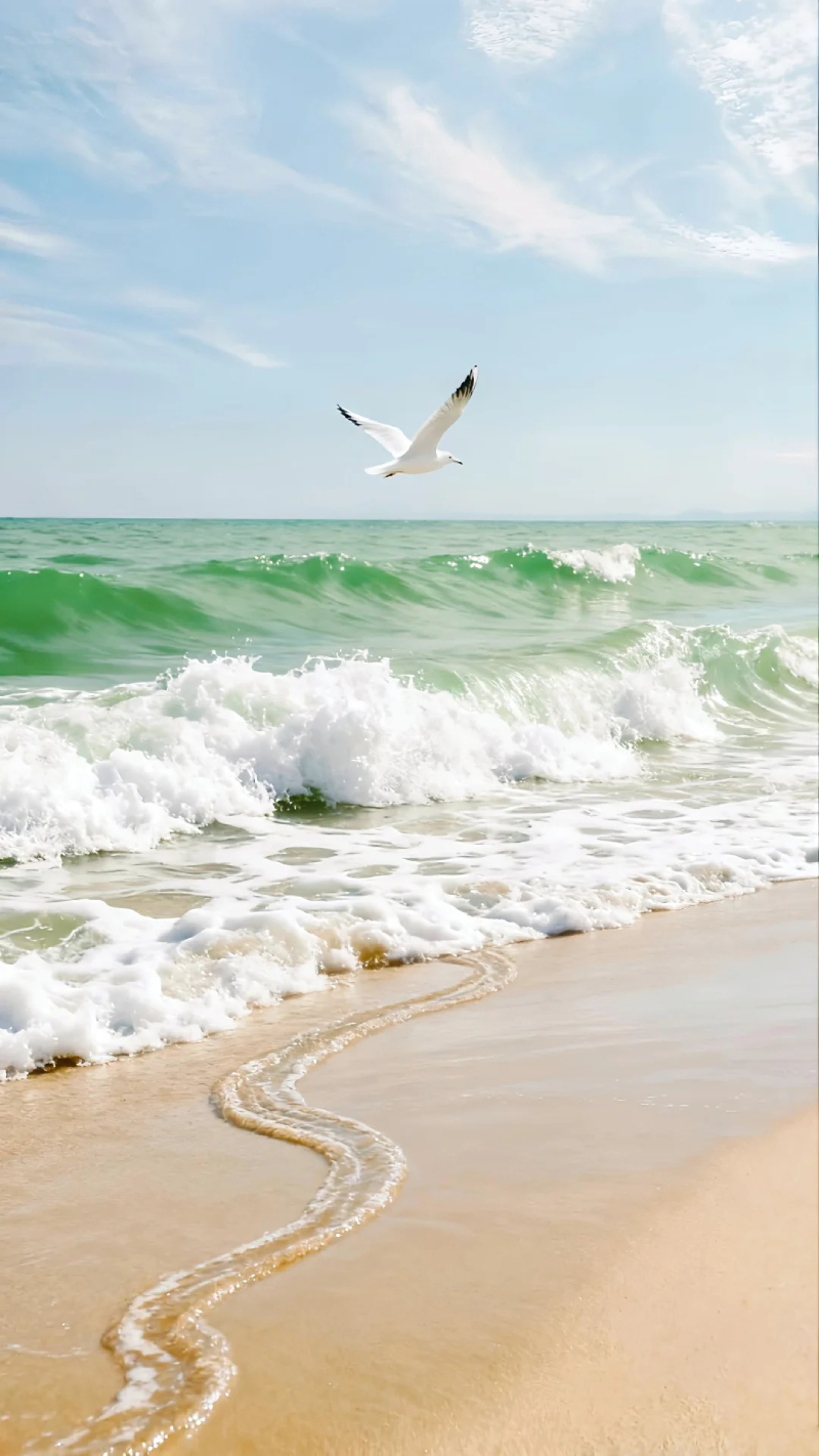 ảnh sóng biển chill 21