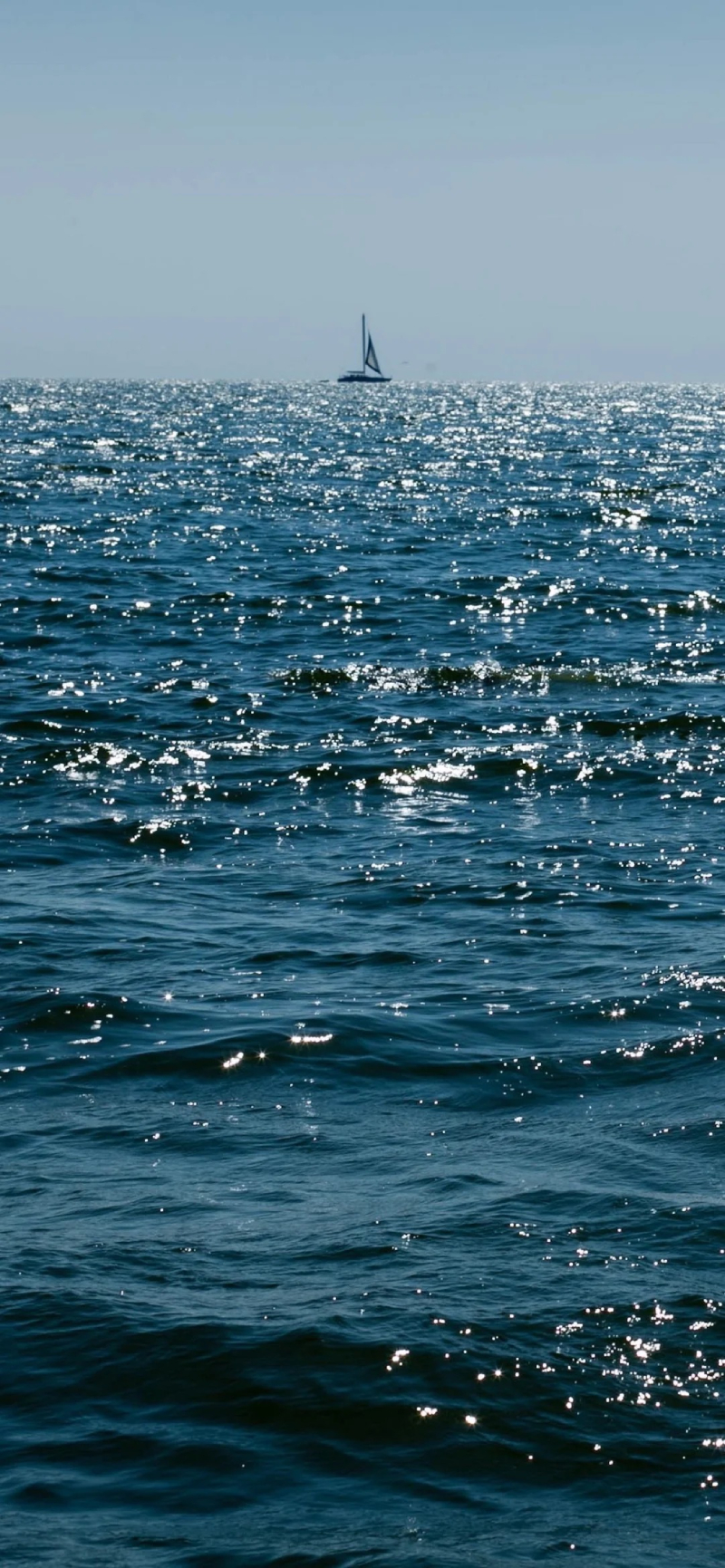 ảnh sóng biển chill 22