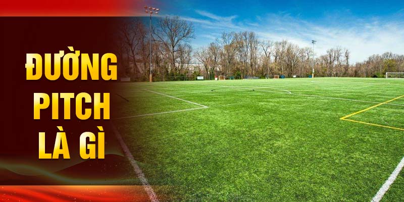 gioi-thieu-khai-niem-duong-pitch-trong-bong-da-tai-king33
