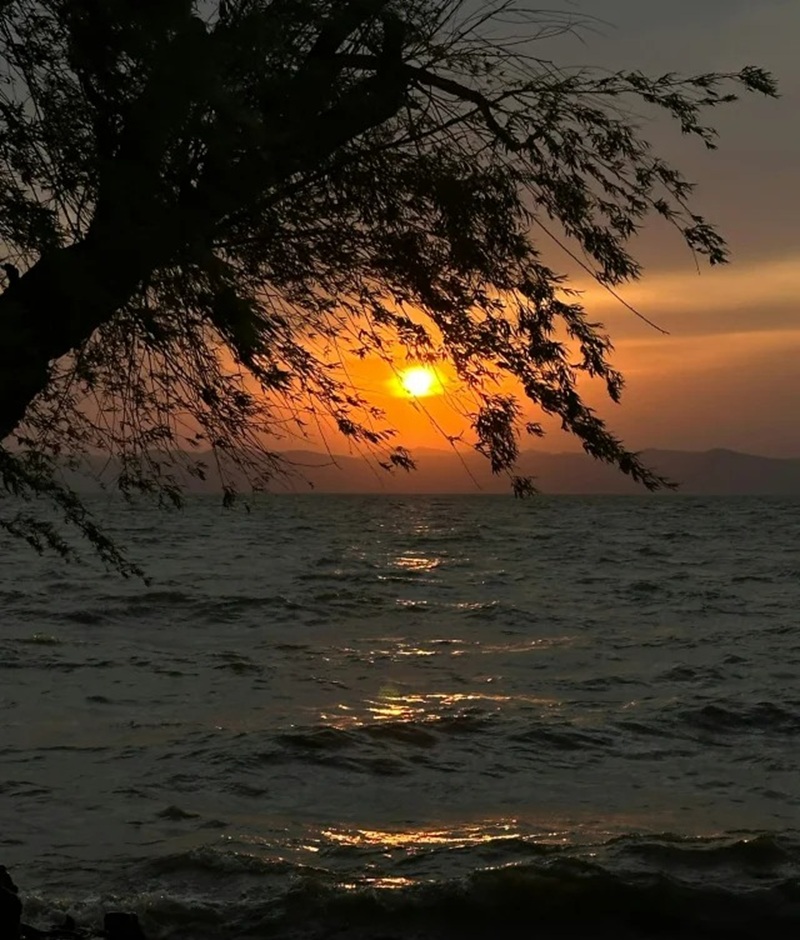 hình ảnh chill lofi buồn 2