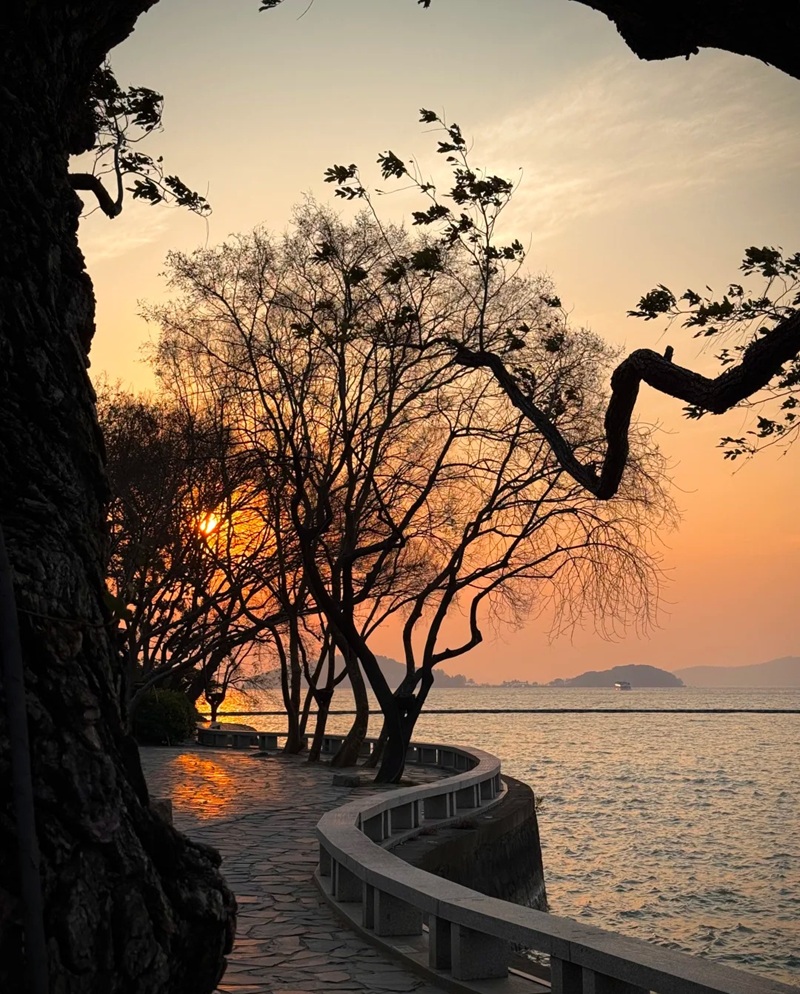 hình ảnh chill lofi buồn 22