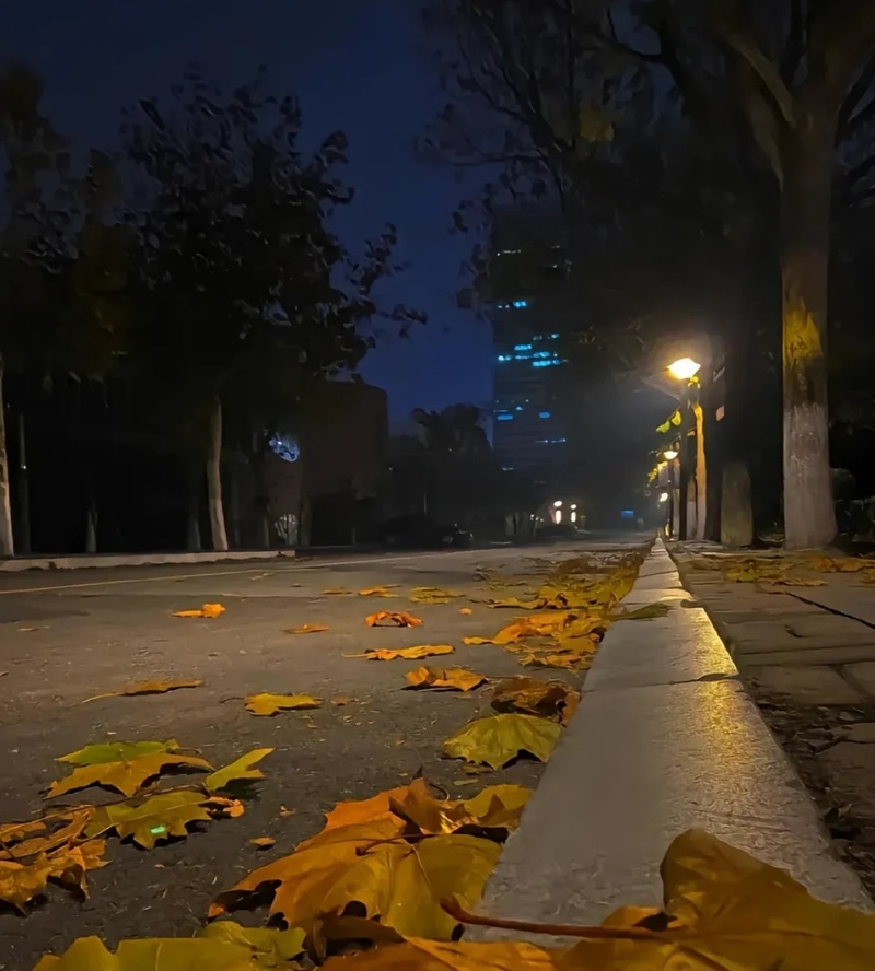 hình ảnh chill lofi buồn 36