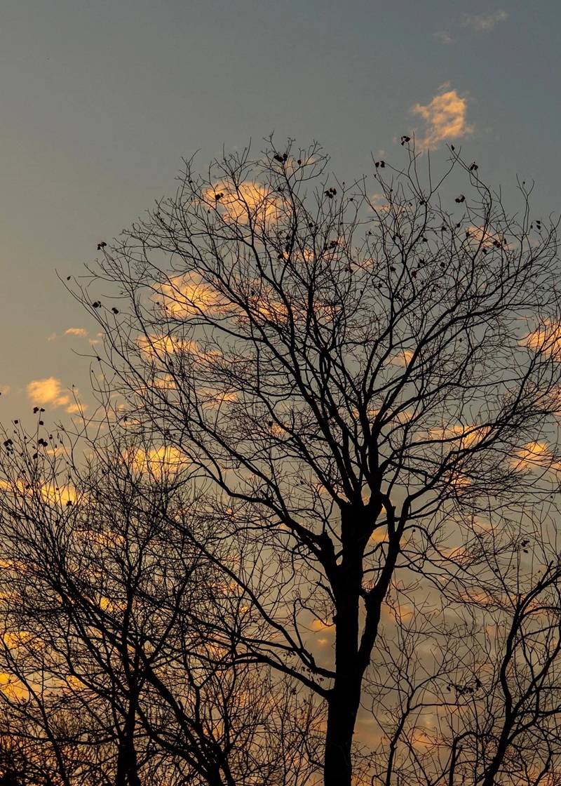 hình ảnh chill lofi buồn 37