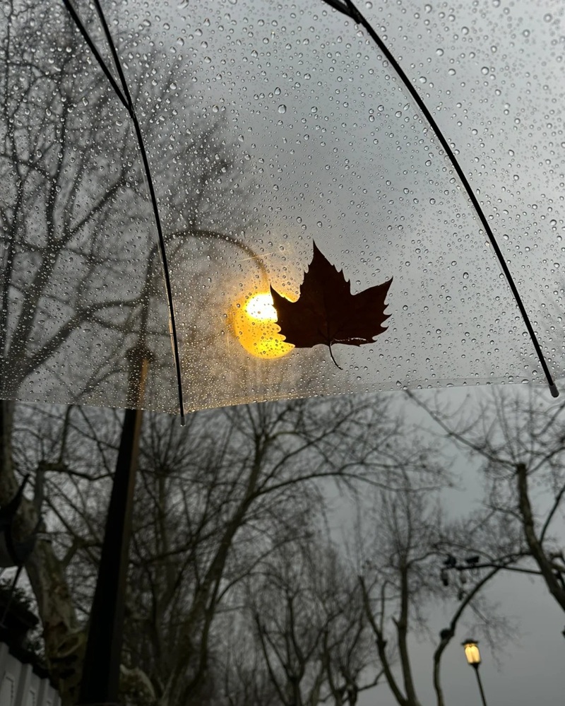 hình ảnh chill lofi buồn 4