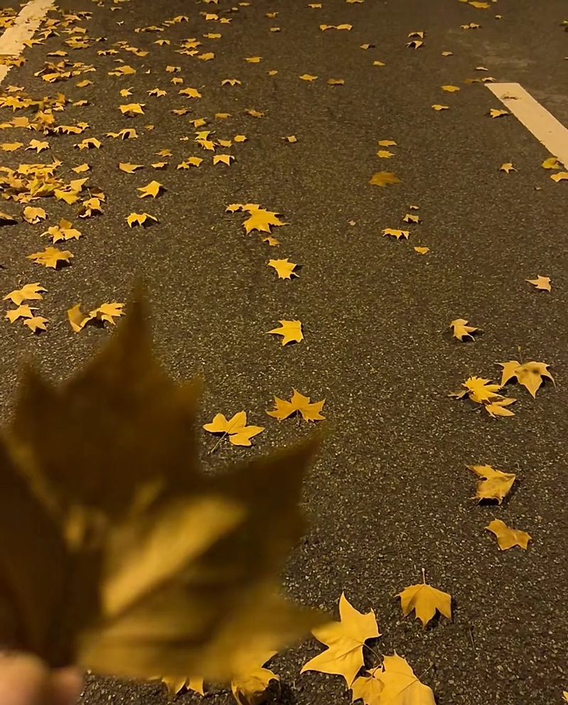 hình ảnh chill lofi buồn 43