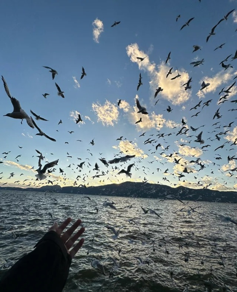 hình ảnh chill lofi buồn 9