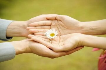 Tạo Dựng Cuộc Sống Tốt Đẹp – Hành Trình Nuôi Dưỡng Hạnh Phúc