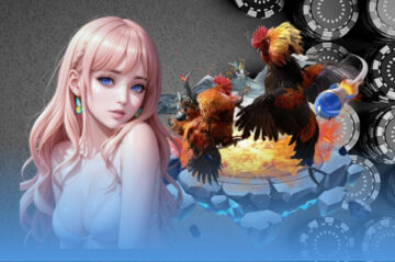 Sân chơi đá gà Campuchia MCW mang đến nhiều điều độc đáo