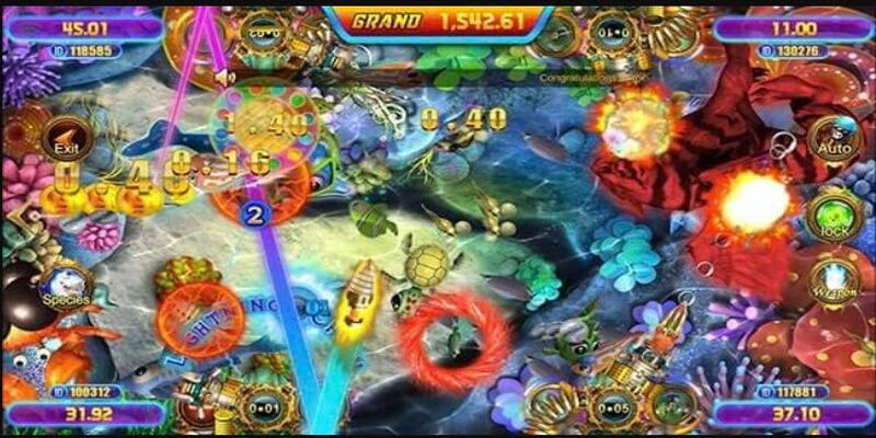 khoanh-khac-san-ca-cuc-lon-tai-man79