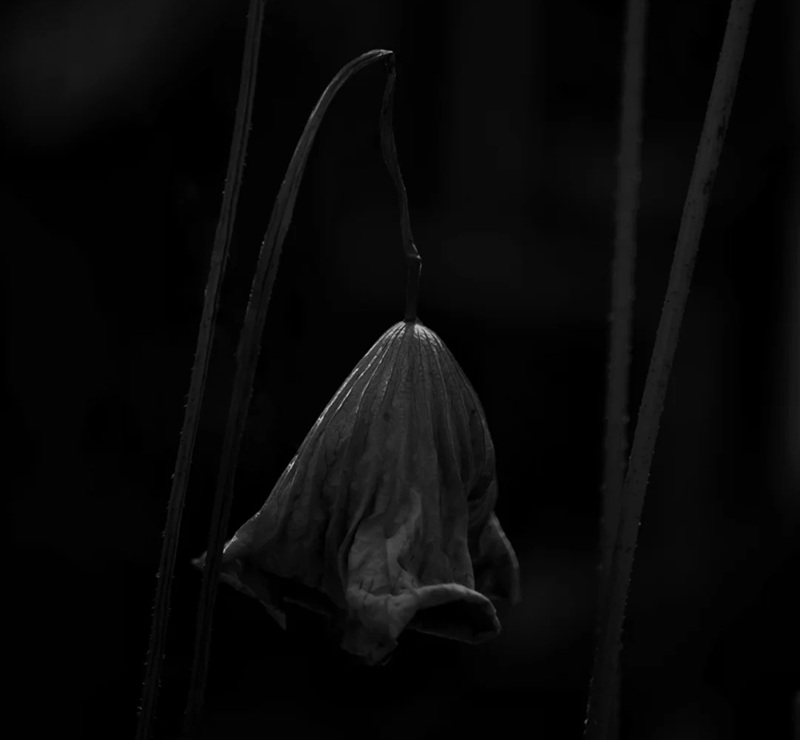 cô đơn ảnh buồn tâm trạng 3