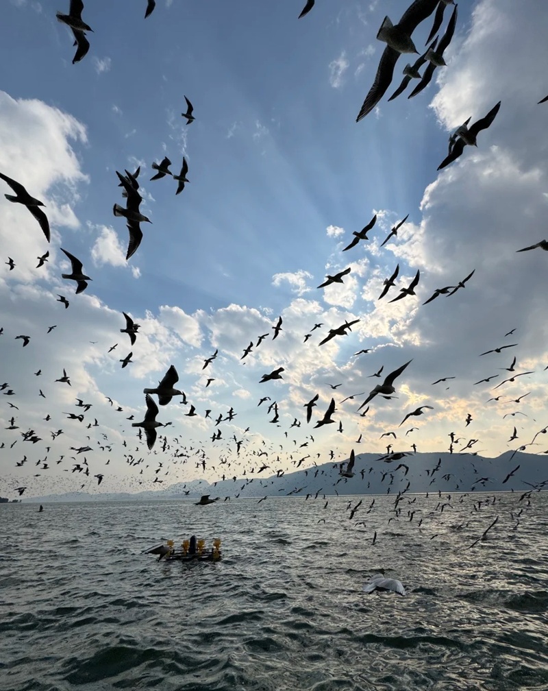 hình ảnh chill lofi buồn 14