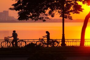 Ảnh Sáng Ngược – Nghệ Thuật Khai Thác Ánh Sáng Tạo Chiều Sâu