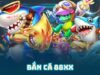 Bắn cá 88xx – Trải nghiệm game bắn cá sống động hấp dẫn