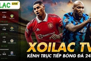 Bảng xếp hạng bóng đá XoilacTV – Cập nhật nhanh, xem dễ trên mọi thiết bị