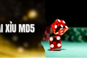 Tải app tài xỉu MD5 – Trải nghiệm xúc xắc minh bạch, chơi mọi lúc mọi nơi