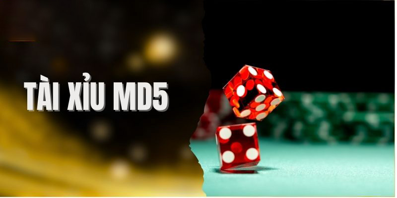 Bản sao của THỂ THAO 88NN – 1